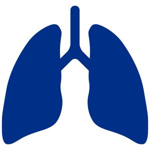Icon: Illustration of a lung